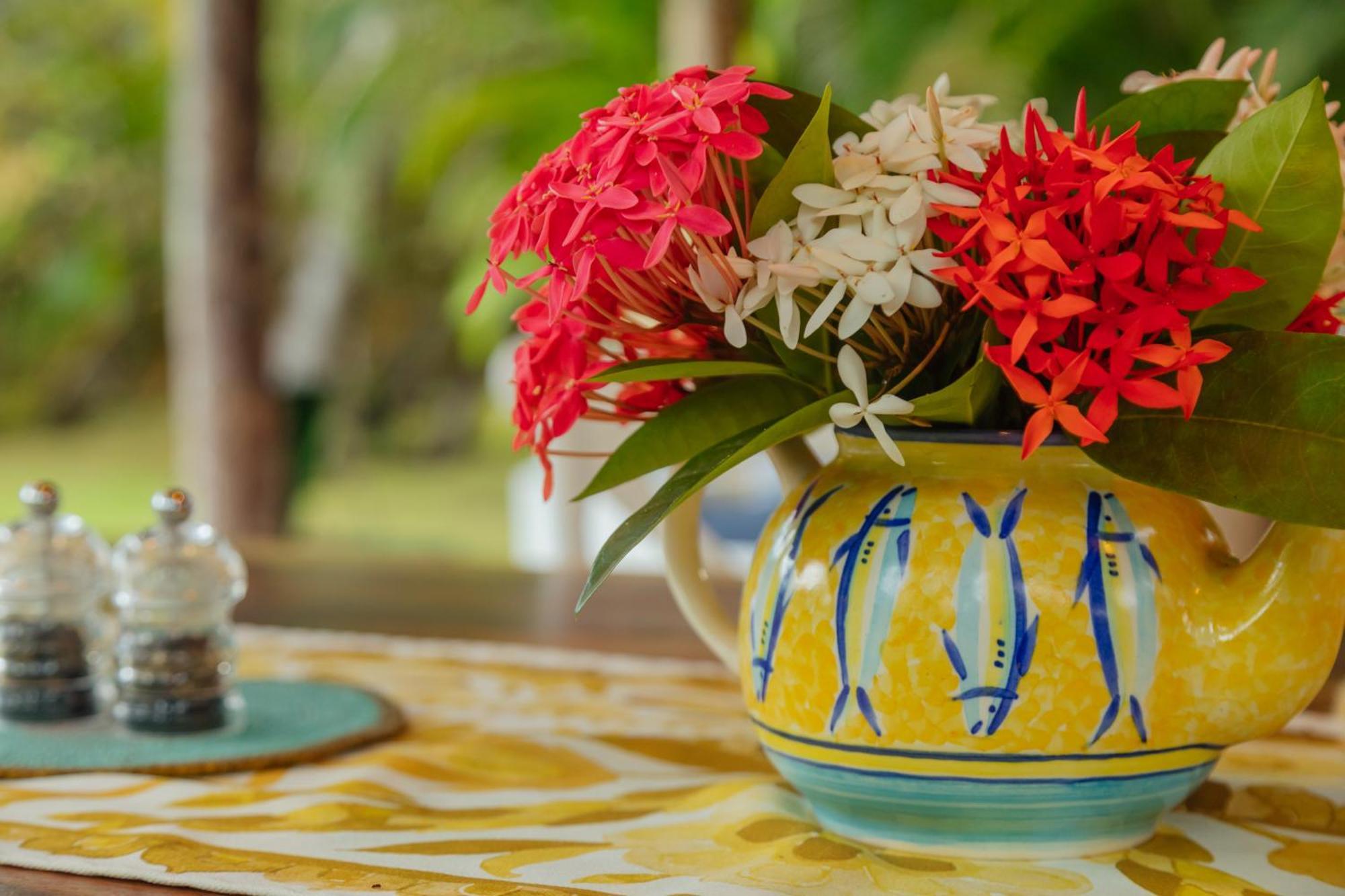 Solea Villa Tropical Santa Marta  Luaran gambar