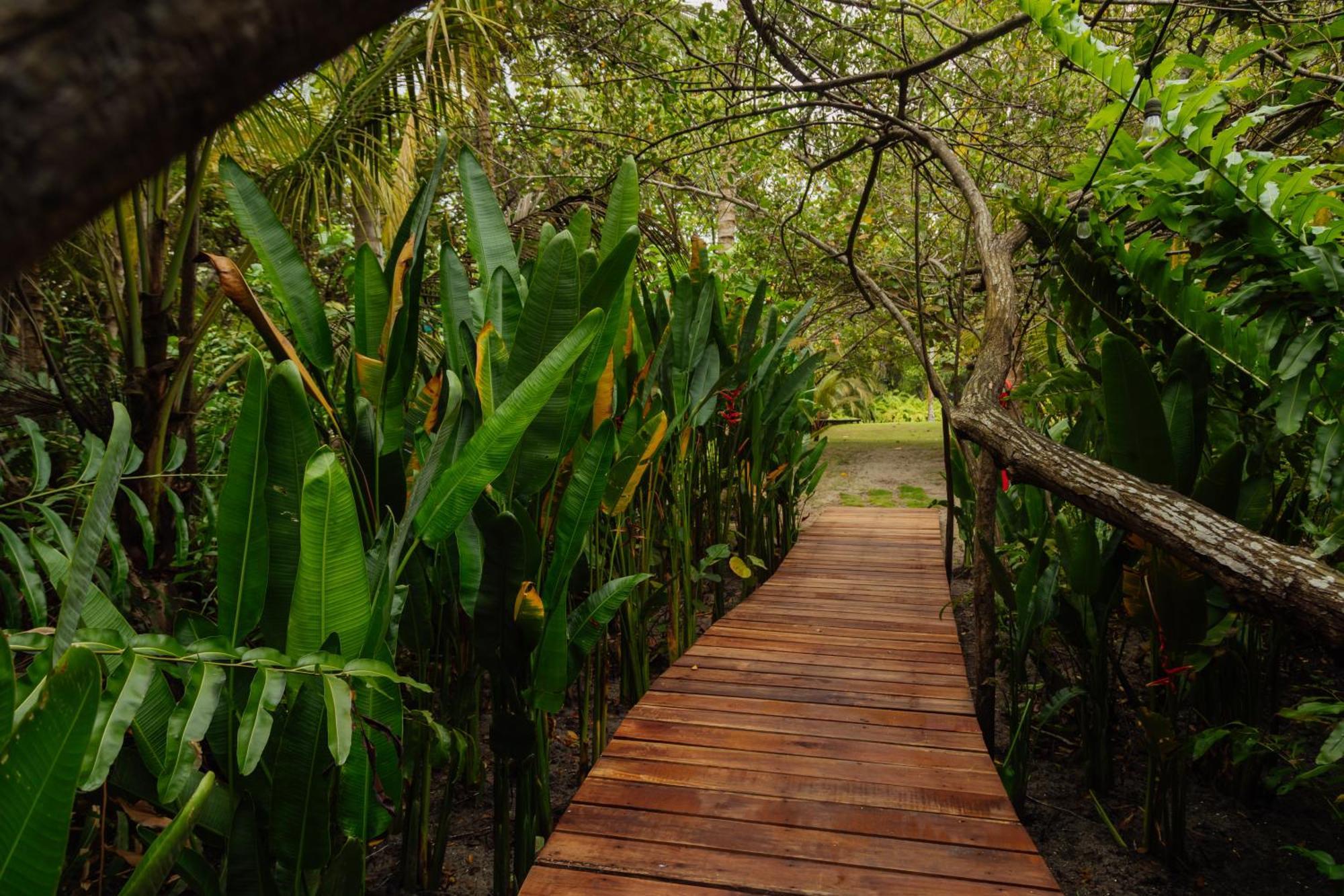 Solea Villa Tropical Santa Marta  Luaran gambar