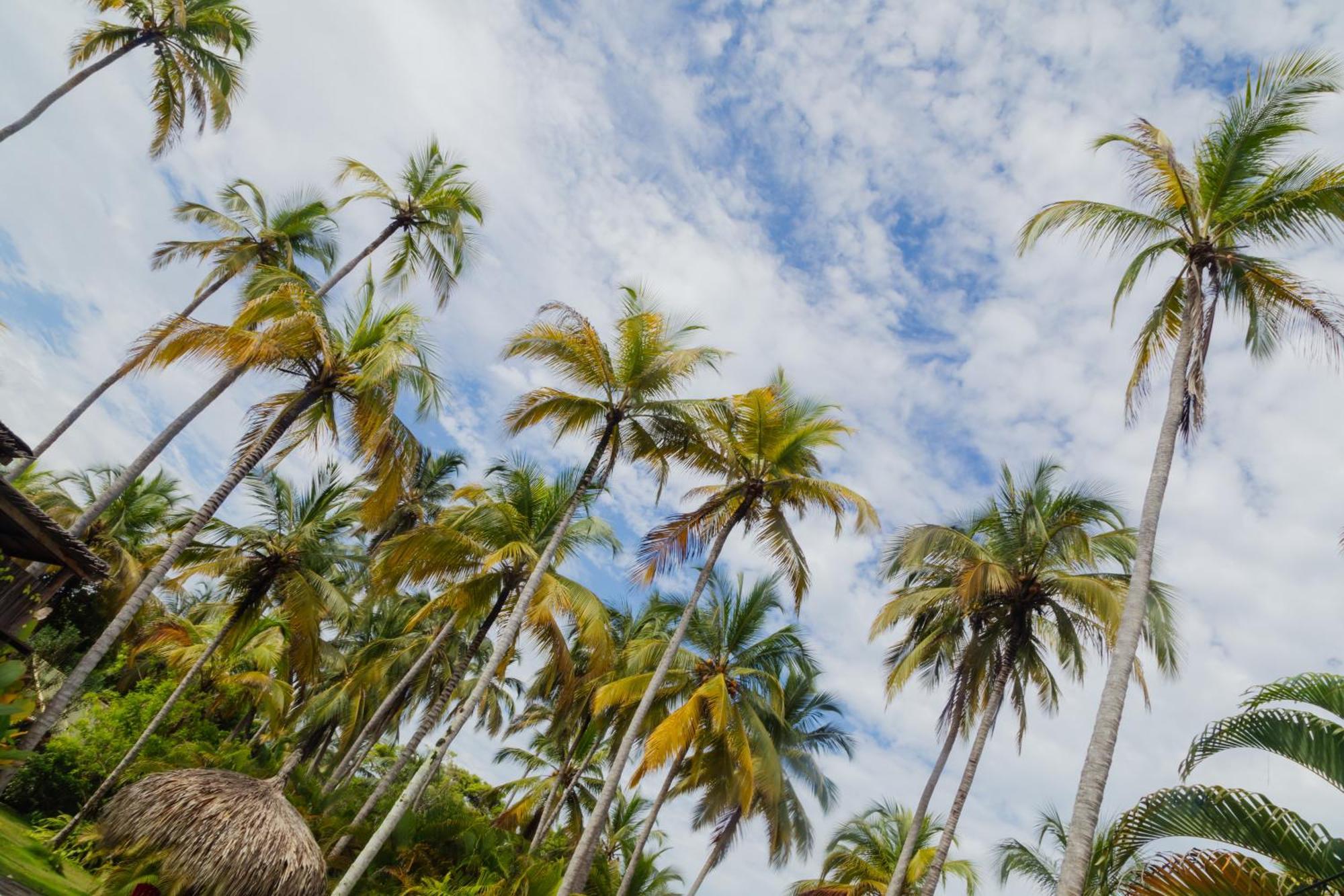 Solea Villa Tropical Santa Marta  Luaran gambar