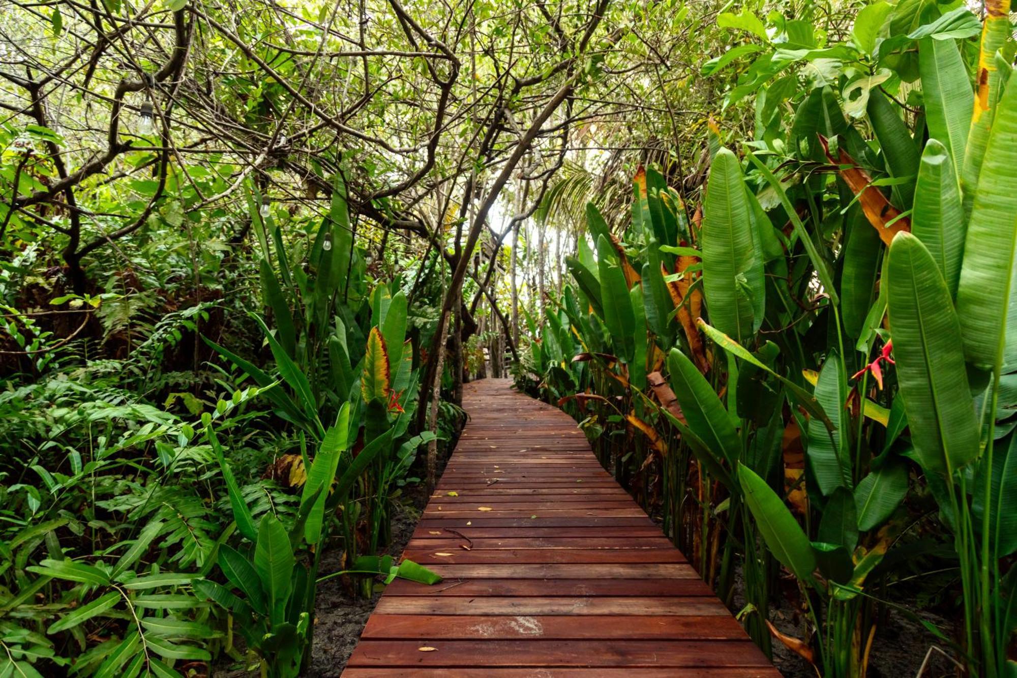 Solea Villa Tropical Santa Marta  Luaran gambar